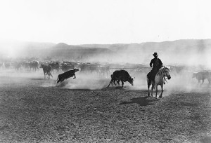The 1876 Texas Cattle Drive | Newsburglar